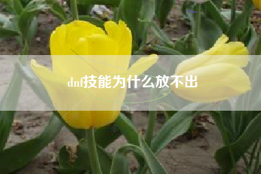 dnf技能为什么放不出