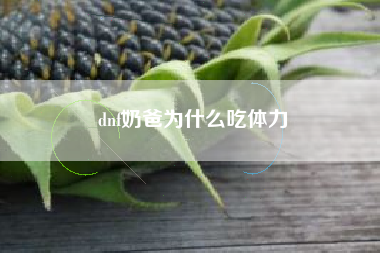 dnf奶爸为什么吃体力