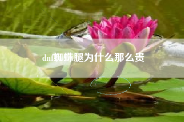 dnf蜘蛛腿为什么那么贵