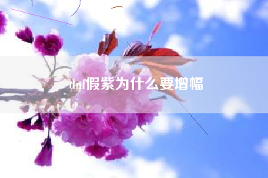 dnf假紫为什么要增幅