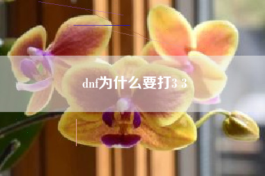 dnf为什么要打3 3