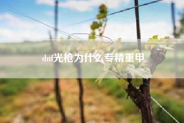 dnf光枪为什么专精重甲