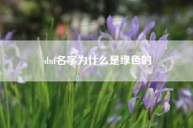 dnf名字为什么是绿色的