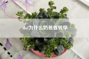 dnf为什么奶爸要转甲