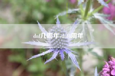 dnf几周年-dnf4周年