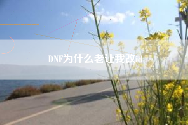 DNF为什么老让我改id