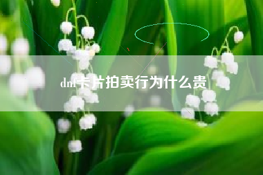 dnf卡片拍卖行为什么贵