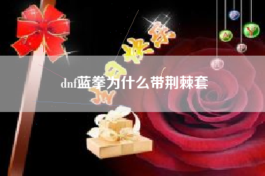 dnf蓝拳为什么带荆棘套