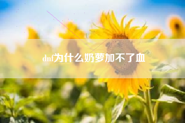 dnf为什么奶萝加不了血