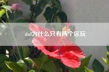 dnf为什么只有两个区玩