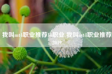 我叫mt4职业推荐16职业 我叫mt4职业推荐2019