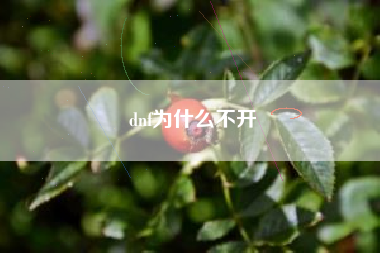 dnf为什么不开