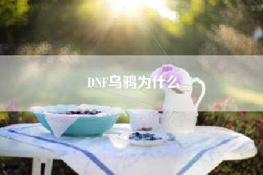 DNF乌鸦为什么