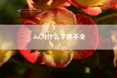 dnf为什么字体不全