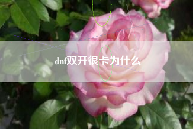 dnf双开很卡为什么