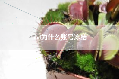 dnf为什么账号冻结