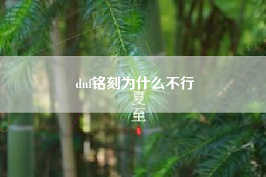 dnf铭刻为什么不行