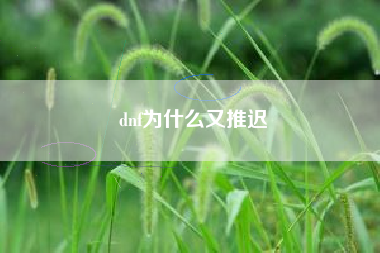 dnf为什么又推迟