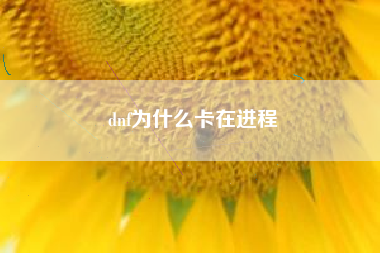 dnf为什么卡在进程