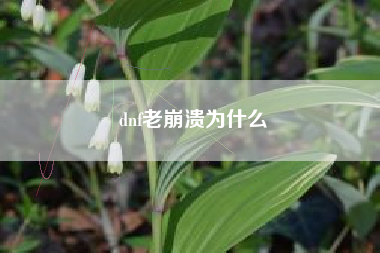 dnf老崩溃为什么