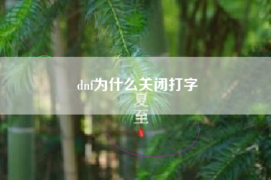 dnf为什么关闭打字