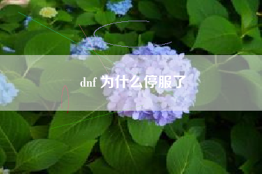 dnf 为什么停服了