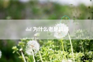 dnf 为什么老是延迟