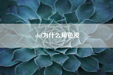 dnf为什么角色没