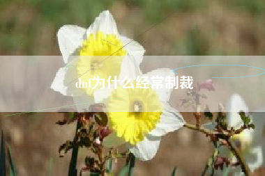 dnf为什么经常制裁