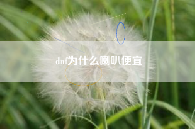 dnf为什么喇叭便宜