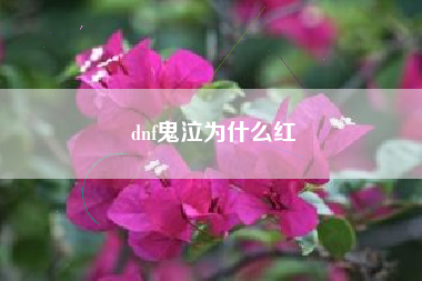 dnf鬼泣为什么红