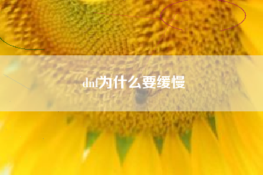 dnf为什么要缓慢