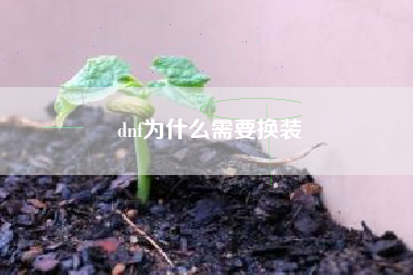 dnf为什么需要换装