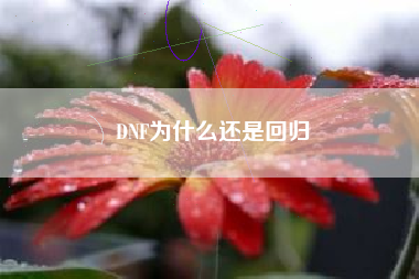 DNF为什么还是回归