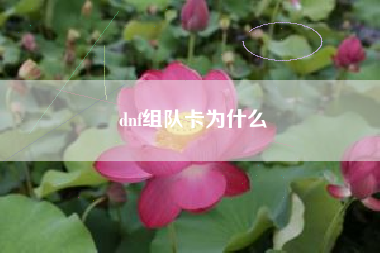 dnf组队卡为什么