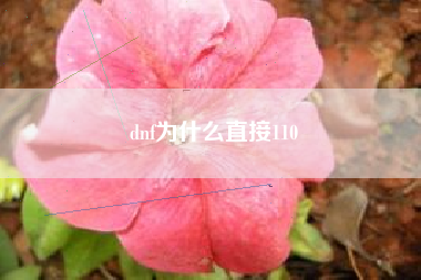 dnf为什么直接110