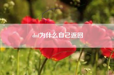 dnf为什么自己返回