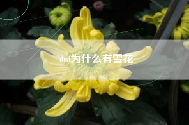 dnf为什么有雪花