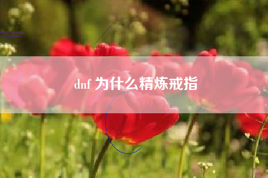 dnf 为什么精炼戒指