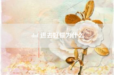 dnf 进去好慢为什么