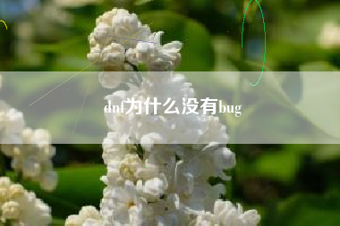 dnf为什么没有bug