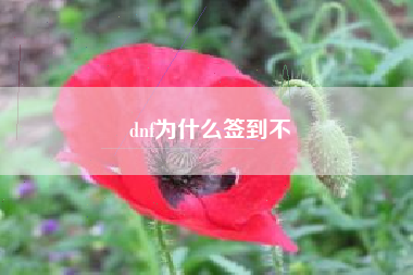 dnf为什么签到不