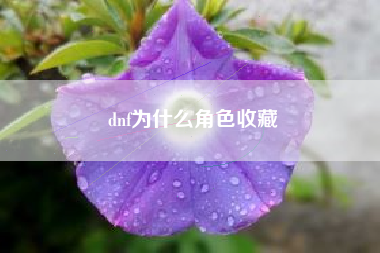 dnf为什么角色收藏