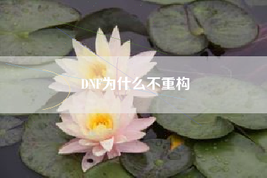 DNF为什么不重构