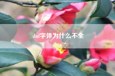 dnf字体为什么不全