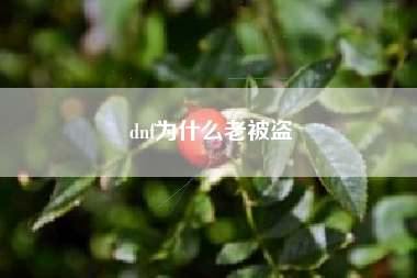 dnf为什么老被盗