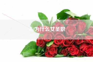 dnf为什么女圣职