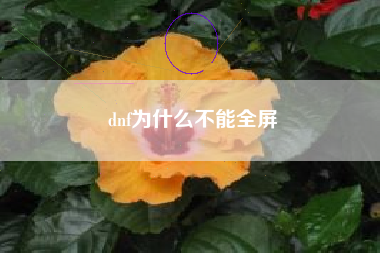 dnf为什么不能全屏