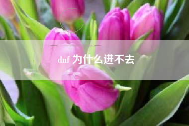 dnf 为什么进不去