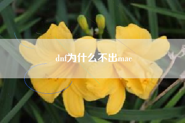 dnf为什么不出mac